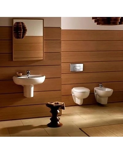 Унитаз Jacob Delafon Brive E4345G-00 подвесной без сиденья