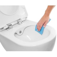 Унитаз биде Creavit Free FE322-00CB00E-0000 подвесной Белый без сиденья