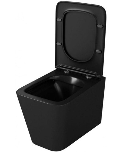 Унитаз Owl 1975 Vatter Ruta-H OWLT190404 подвесной с сиденьем Микролифт