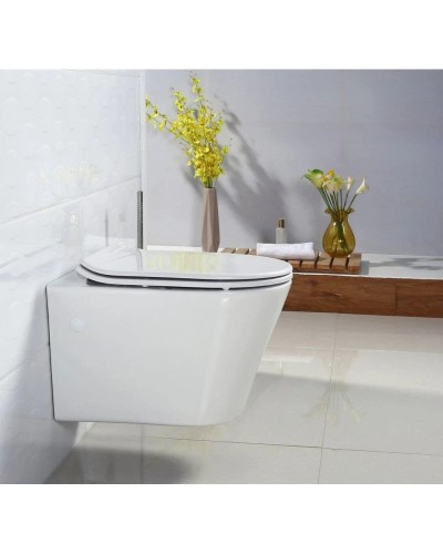 Подвесной безободковый унитаз BelBagno Flay-R BB506CH