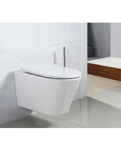 Подвесной безободковый унитаз BelBagno Flay-R BB506CH