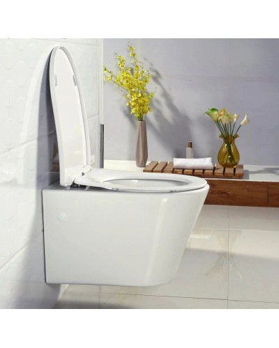 Подвесной безободковый унитаз BelBagno Flay-R BB506CH