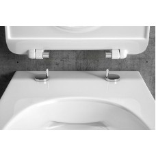 Унитаз Excellent Doto Pure Rim 48 CEEX.1404.485.WH подвесной с сиденьем Микролифт