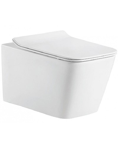 Унитаз Bravat Manno C21201UW-RUS подвесной с сиденьем Микролифт