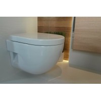 Унитаз Roca Meridian 346248000 подвесной без сиденья