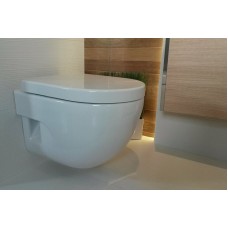 Унитаз Roca Meridian 346248000 подвесной без сиденья