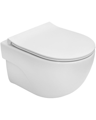 Унитаз Roca Meridian-N Rimless 346244000 подвесной без сиденья