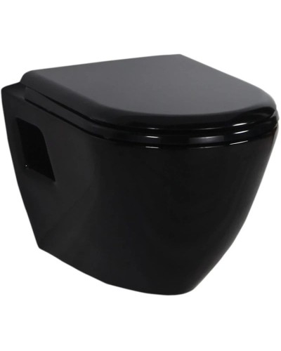 Подвесной унитаз с функцией биде Creavit Terra TP325-00SI00E-0000