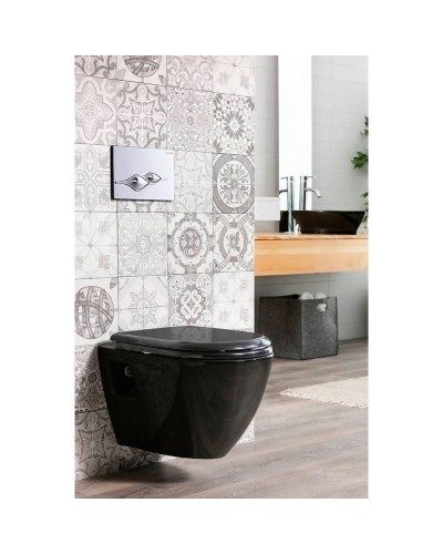 Подвесной унитаз с функцией биде Creavit Terra TP325-00SI00E-0000