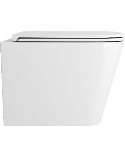 Унитаз Owl 1975 Vatter OWLT190403S подвесной с сиденьем Микролифт