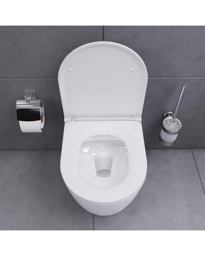 Унитаз Damixa Sirius DX86C1700SC подвесной с сиденьем Микролифт