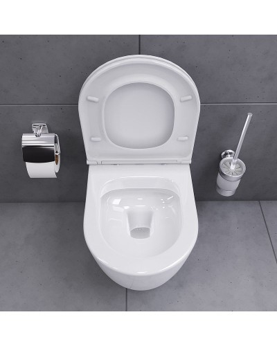 Унитаз Damixa Sirius DX86C1700SC подвесной с сиденьем Микролифт