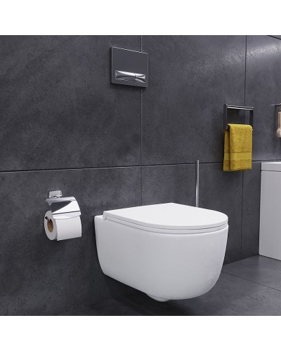 Унитаз Damixa Sirius DX86C1700SC подвесной с сиденьем Микролифт