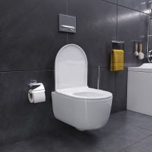 Унитаз Damixa Sirius DX86C1700SC подвесной с сиденьем Микролифт