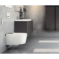 Унитаз-биде Geberit AquaClean Sela 146.224.11.1 подвесной с сиденьем Микролифт