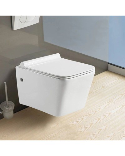 Подвесной унитаз с сиденьем микролифт GID Tr2194