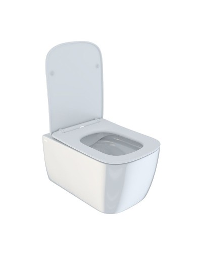 Унитаз Iddis Bridge BRIRDSEi25 подвесной с сиденьем Микролифт