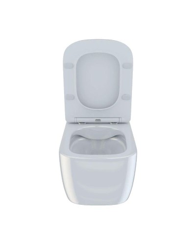 Унитаз Iddis Bridge BRIRDSEi25 подвесной с сиденьем Микролифт