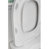 Унитаз Jacob Delafon Modern Life E77725-0 подвесной без сиденья