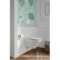 Унитаз Jacob Delafon Modern Life E77725-0 подвесной без сиденья