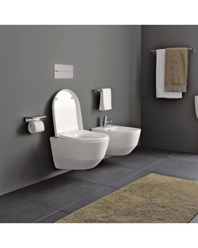 Унитаз Laufen Pro 8.2095.6 подвесной без сиденья