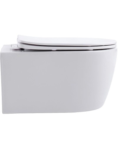 Унитаз Aquanet Smart W Rimless 276395 подвесной с сиденьем Микролифт