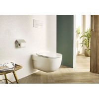 Унитаз Roca Meridian Rimless A34H240000 подвесной с сиденьем Микролифт