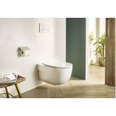 Унитаз Roca Meridian Rimless A34H240000 подвесной с сиденьем Микролифт