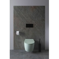 Унитаз Allen Brau Fantasy 4.11004.MT подвесной Мятный без сиденья