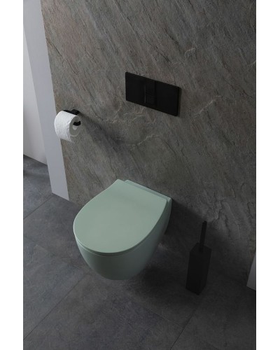 Унитаз Allen Brau Fantasy 4.11004.MT подвесной Мятный без сиденья