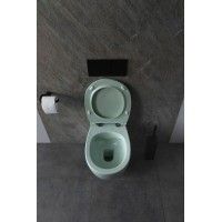 Унитаз Allen Brau Fantasy 4.11004.MT подвесной Мятный без сиденья