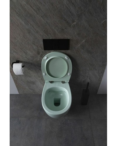 Унитаз Allen Brau Fantasy 4.11004.MT подвесной Мятный без сиденья