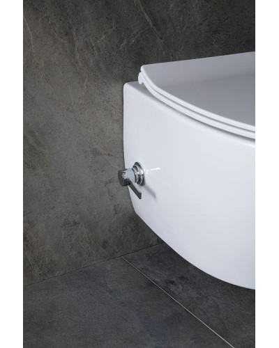 Унитаз биде Allen Brau Fantasy 4.11HC1.20 подвесной Белый без сиденья