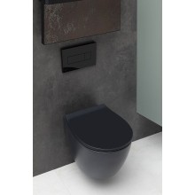 Унитаз Allen Brau Fantasy 4.11004.31 подвесной Черный матовый без сиденья