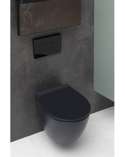 Унитаз Allen Brau Fantasy 4.11004.31 подвесной Черный матовый без сиденья