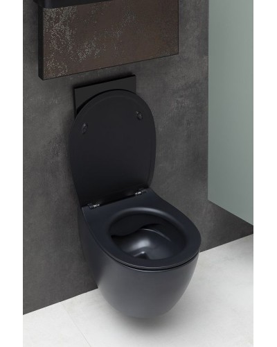 Унитаз Allen Brau Fantasy 4.11004.31 подвесной Черный матовый без сиденья