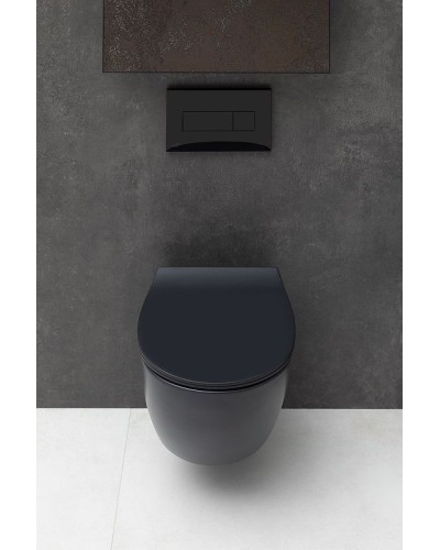 Унитаз Allen Brau Fantasy 4.11004.31 подвесной Черный матовый без сиденья