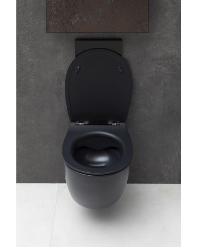 Унитаз Allen Brau Fantasy 4.11004.31 подвесной Черный матовый без сиденья