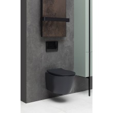 Унитаз Allen Brau Fantasy 4.11004.31 подвесной Черный матовый без сиденья