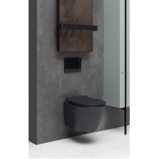 Унитаз Allen Brau Fantasy 4.11004.31 подвесной Черный матовый без сиденья