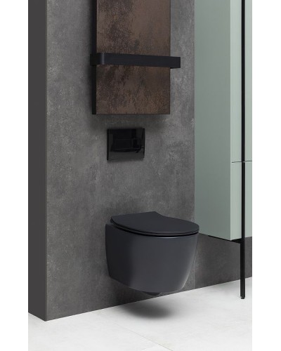 Унитаз Allen Brau Fantasy 4.11004.31 подвесной Черный матовый без сиденья