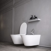 Унитаз биде Boheme Avva 972-2-MW подвесной Белый матовый без сиденья