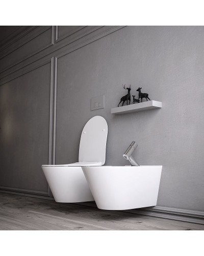 Унитаз биде Boheme Avva 972-2-MW подвесной Белый матовый без сиденья