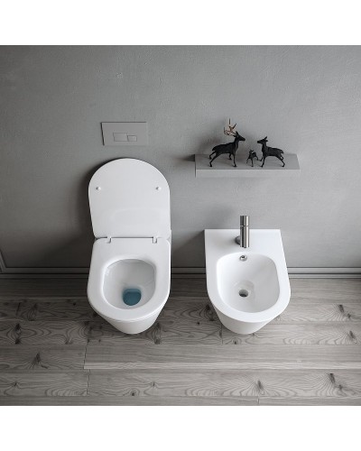 Унитаз биде Boheme Avva 972-2-MW подвесной Белый матовый без сиденья