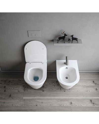 Унитаз Boheme Avva 972-MW подвесной Белый матовый без сиденья