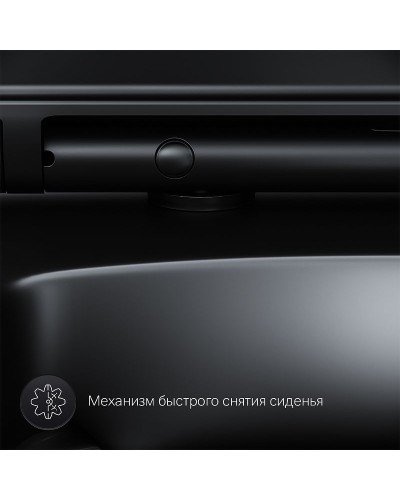 Унитаз AM.PM Inspire V2.0 C50A1700MBSC подвесной Черный матовый с сиденьем микролифт