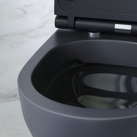 Унитаз AM.PM Spirit V2.0 C701700MBSC подвесной Черный матовый с сиденьем микролифт