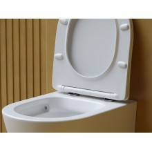 Унитаз Ceramica Nova Balearica CN6000MW подвесной Белый матовый с сиденьем Микролифт