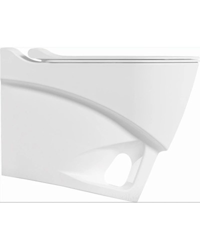 Подвесной безободковый унитаз с функцией биде с сиденьем микролифт Bien Organic OGKA052N1VP1W3000