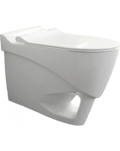 Подвесной безободковый унитаз с функцией биде с сиденьем микролифт Bien Organic OGKA052N1VP1W3000